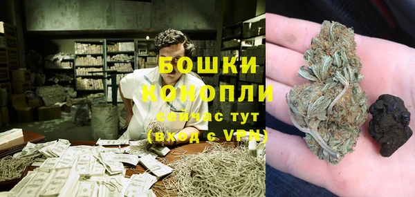 МДПВ Горнозаводск