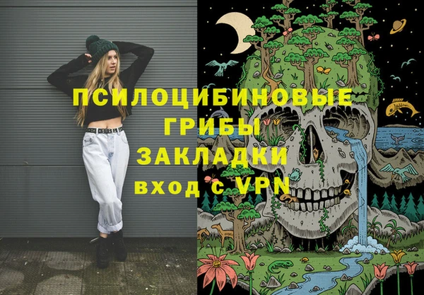 МДПВ Горнозаводск