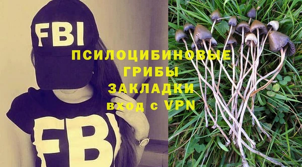 соль курить ск Горно-Алтайск